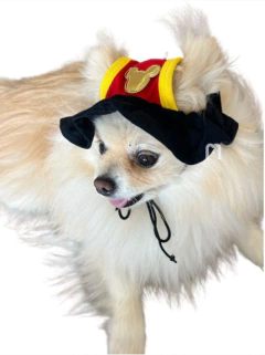 Chapéu de Praia Mickey para cachorro