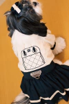 Vestido Bolsa Veludo Preto para cachorro e gato