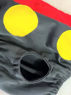 Sunga Mickey para cachorro na internet