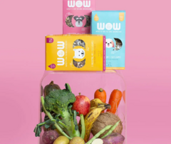 Petisco natural para cães sabor lombinho crocante WOW Pet Food - loja online