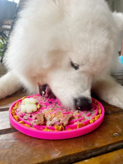 Tapete de Lamber Comedouro Lento na internet