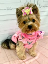 Baby Look Bananinhas Rosa para cachorro e gato - comprar online