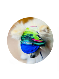 Boné Califórnia para cachorro e gato - comprar online