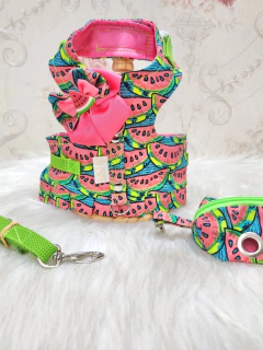 Peitoral Melancia com Porta Cata Caca para cachorro - comprar online