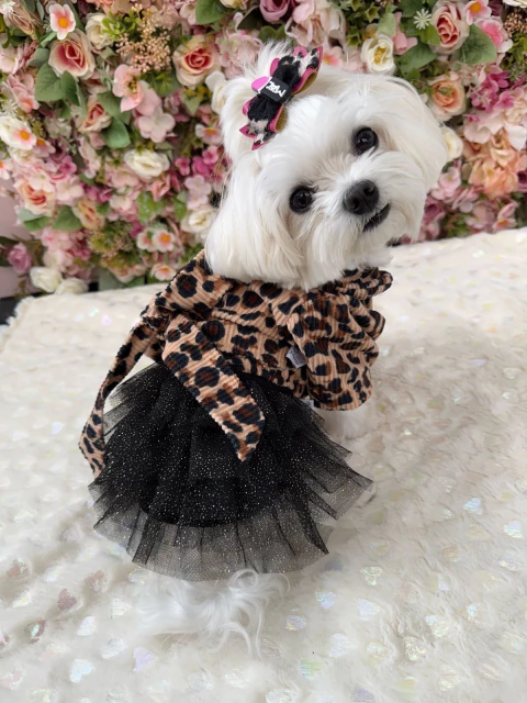 Casaco Cropped Veludo Oncinha para cachorro e gato - comprar online