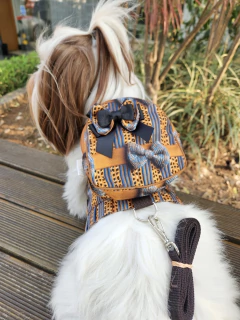 Peitoral Mochila Oncinha Grife para cachorro e gato