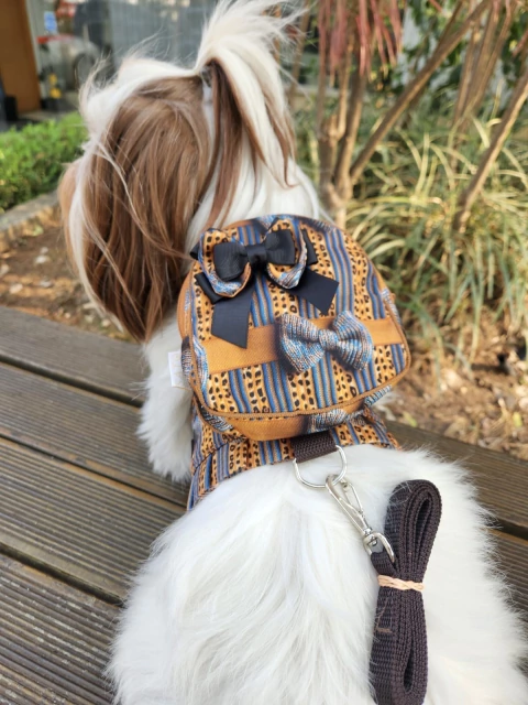 Peitoral Mochila Oncinha Grife para cachorro e gato