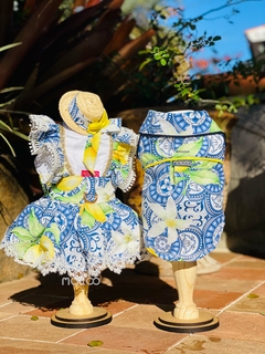 Vestido Amore di Sicilia para cachorro e gato - loja online