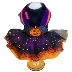 Vestido Halloween Bruxinha Morgana para cachorro e gato na internet