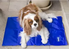 Tapete Gelado Refrescante Chalesco para Pets Tam M 50 X 60cm - loja online