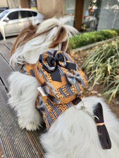 Imagem do Peitoral Mochila Oncinha Grife para cachorro e gato