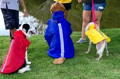 Capa de Chuva para cachorro - Royal - Estilo de Vida Pet