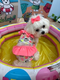 Biquini Pinguim Frutinhas para cachorro