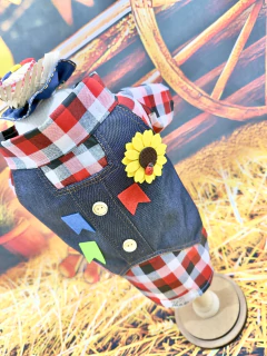 Camisa Festa Junina Violeiro para cachorro e gato - comprar online