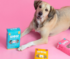 Petisco natural para cães sabor frango crocante WOW Pet Food na internet
