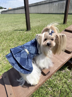 Salopete Jeans Teddy para cachorro e gato - Estilo de Vida Pet