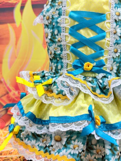 Vestido Festa Junina Balancê para cachorro e gato na internet