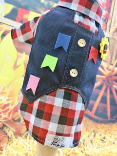 Camisa Festa Junina Violeiro para cachorro e gato na internet