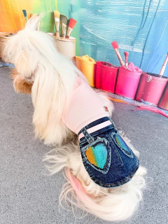 Vestido Mini Saia Jeans Rainbow para cachorro e gato - loja online
