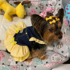 Vestido Jeans Xadrez Amarelo para cachorro e gato na internet