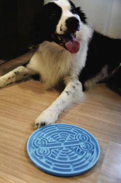 Tapete de Lamber Comedouro Lento - loja online