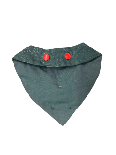 Imagem do Bandana Glamour Verde para cachorro e gato
