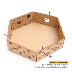 Caixa Hexagonal de Papelão Beebox para gatos - loja online