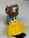 Fantasia Pet - Vestido Alegria Divertidamente para Cachorro e Gato - comprar online