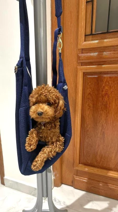 Sling Aerado Marinho para cachorro na internet
