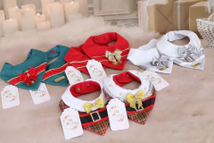 Bandana Glamour Vermelho para cachorro e gato - comprar online