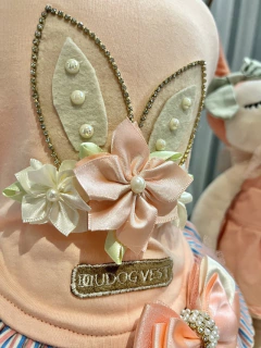 Vestido Salmão Páscoa Listra Azul para cachorro e gato - Estilo de Vida Pet