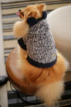 Casaco Teddy Marinho com Capuz e Orelhinhas para cachorro e gato