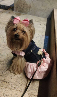 Vestido Jeans Xadrez Rosa para cachorro e gato na internet