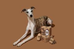 Dispenser Cata Caca Café VETRESKA (Kit 1 Dispenser + 1 Rolo)