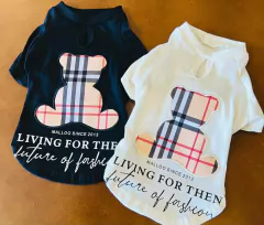 T-Shirt Pet Off White Urso Xadrez para cachorro e gato na internet