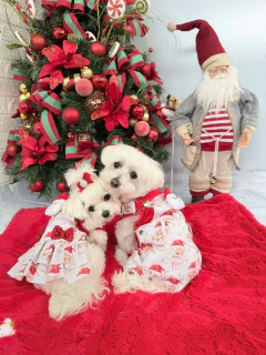 Jardineira Papai Noel Vermelha Masc para cachorro e gato - comprar online