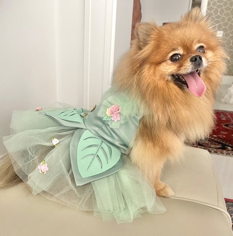 Fantasia Pet - Vestido Sininho (Tinker Bell) para cachorro e gato - comprar online