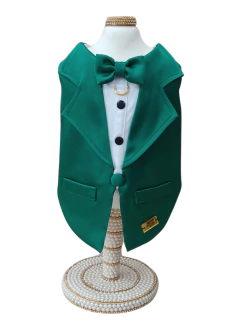 Fraque Natal Encanto Verde para cachorro e gato - comprar online