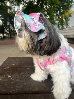 Chapéu de Praia Unicórnio para cachorro - Estilo de Vida Pet