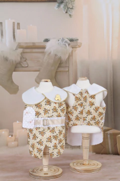 Camisa Noel Teddy para cachorro e gato