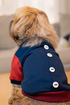 Moletom Colegial para cachorro e gato - comprar online