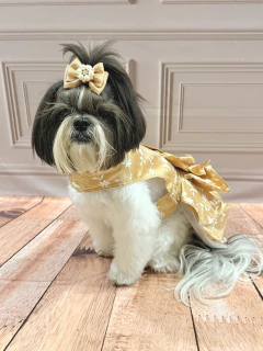 Vestido de Festa Flores Dourado para Cachorro e Gato - comprar online