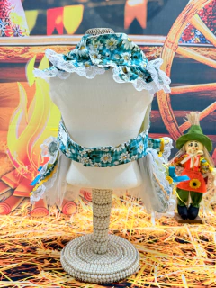 Vestido Festa Junina Balancê para cachorro e gato - Estilo de Vida Pet