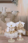 Vestido Noel Teddy para cachorro e gato
