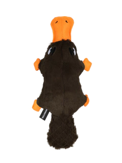 Pelúcia Ornitorrinco QMonster para cachorro - comprar online