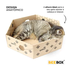 Imagem do Caixa Hexagonal de Papelão Beebox para gatos