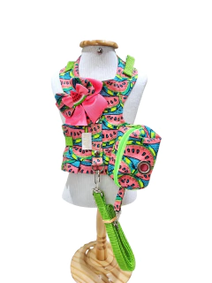Peitoral Melancia com Porta Cata Caca para cachorro - Estilo de Vida Pet