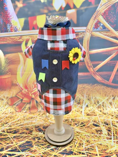 Camisa Festa Junina Violeiro para cachorro e gato