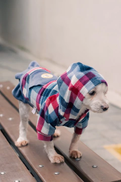 Moletom Esporte Xadrez Marinho Feminino para cachorro e gato na internet