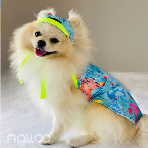 Regata Praia Costa Amalfi para cachorro